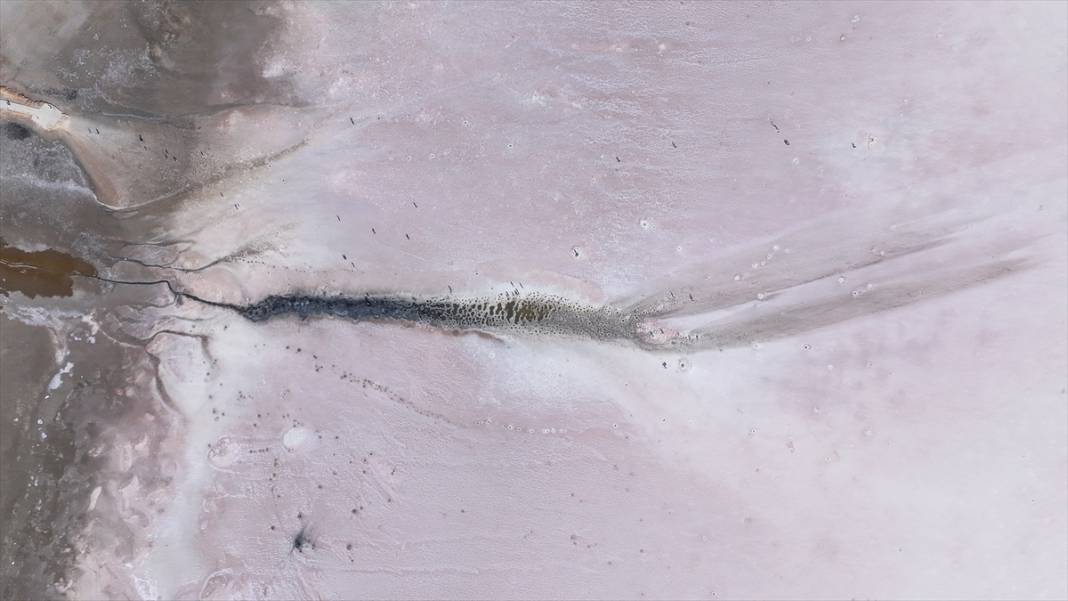 Kavurucu sıcaklar Tuz Gölü'nü kızarttı! Bakteriler cirit atıyor 16